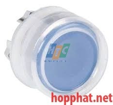 PUSHBUTTON OPERATOR HEAD - ZB4BP6